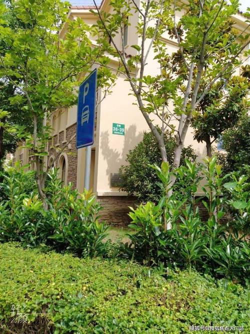 上海青浦西晶明园官方网站 人文古韵与现代风华的完美交融